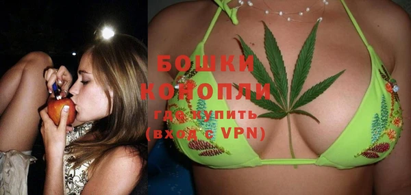 крисы Елизово