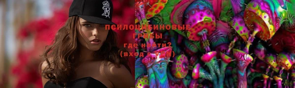 ешки Алзамай