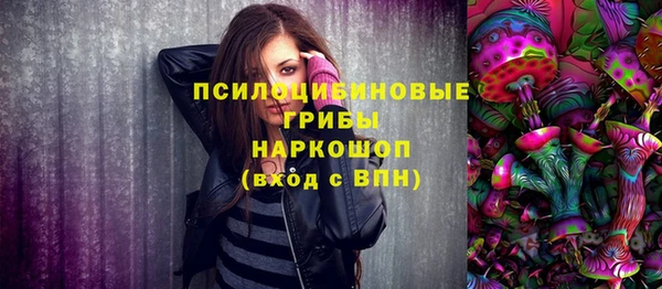 ешки Алзамай