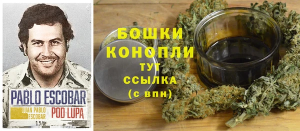 молекула духа Ельня